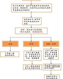 邵逸夫試管就診指南 簡單6個步驟完成全部流程